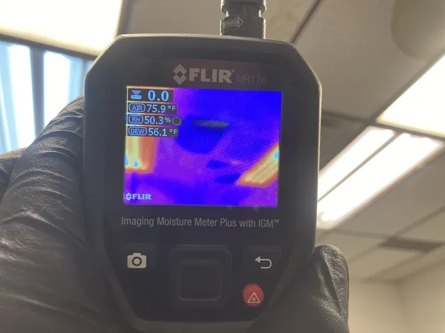 mold inspection kansas